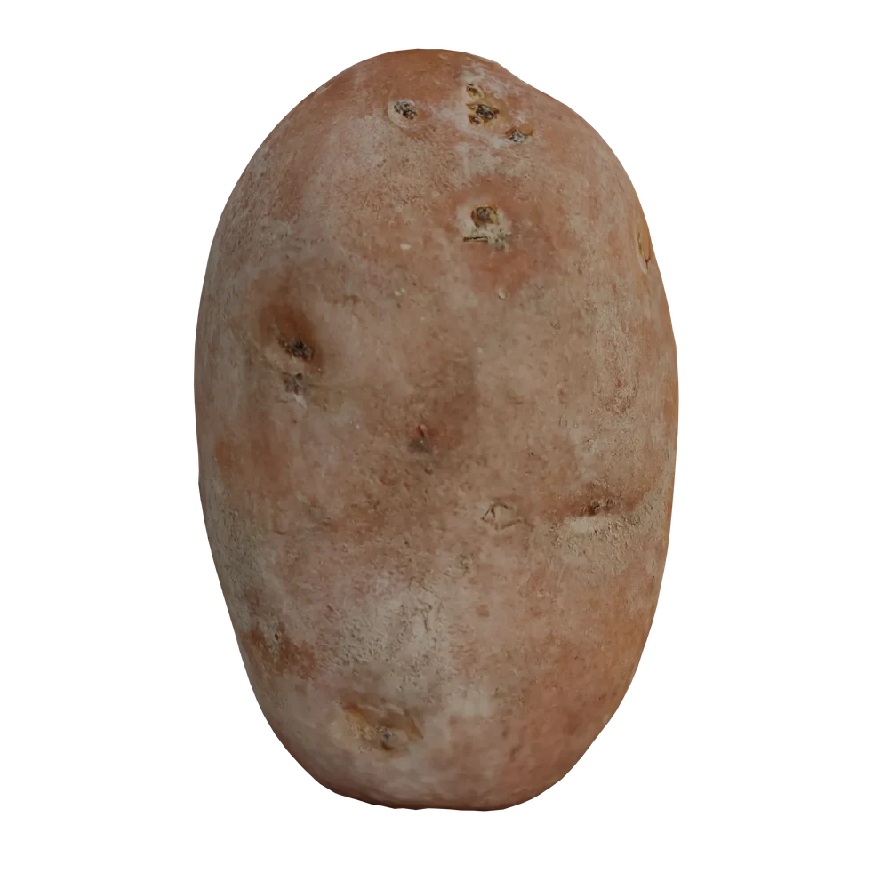 Potato