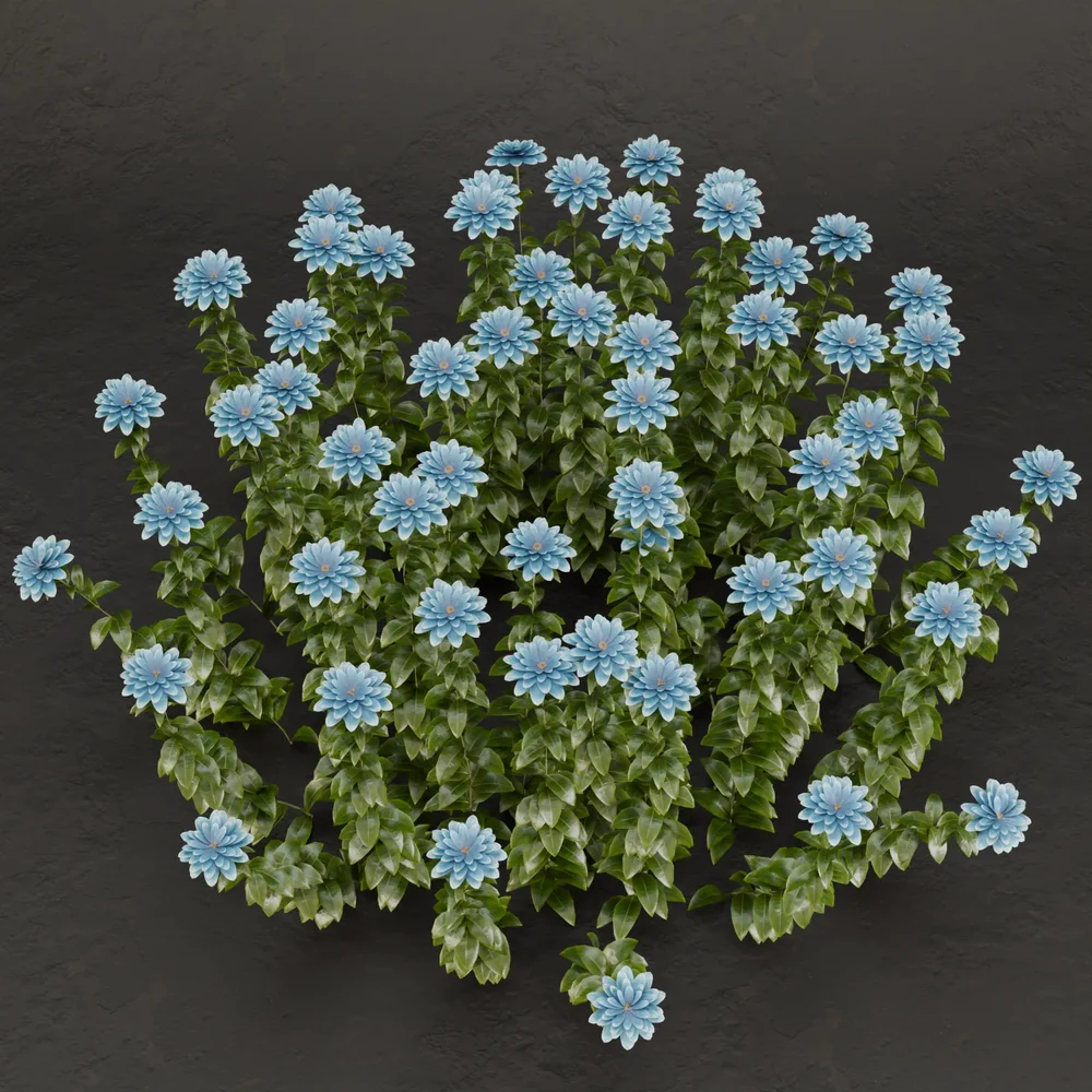 Sj-Tranquil Garden Accent.