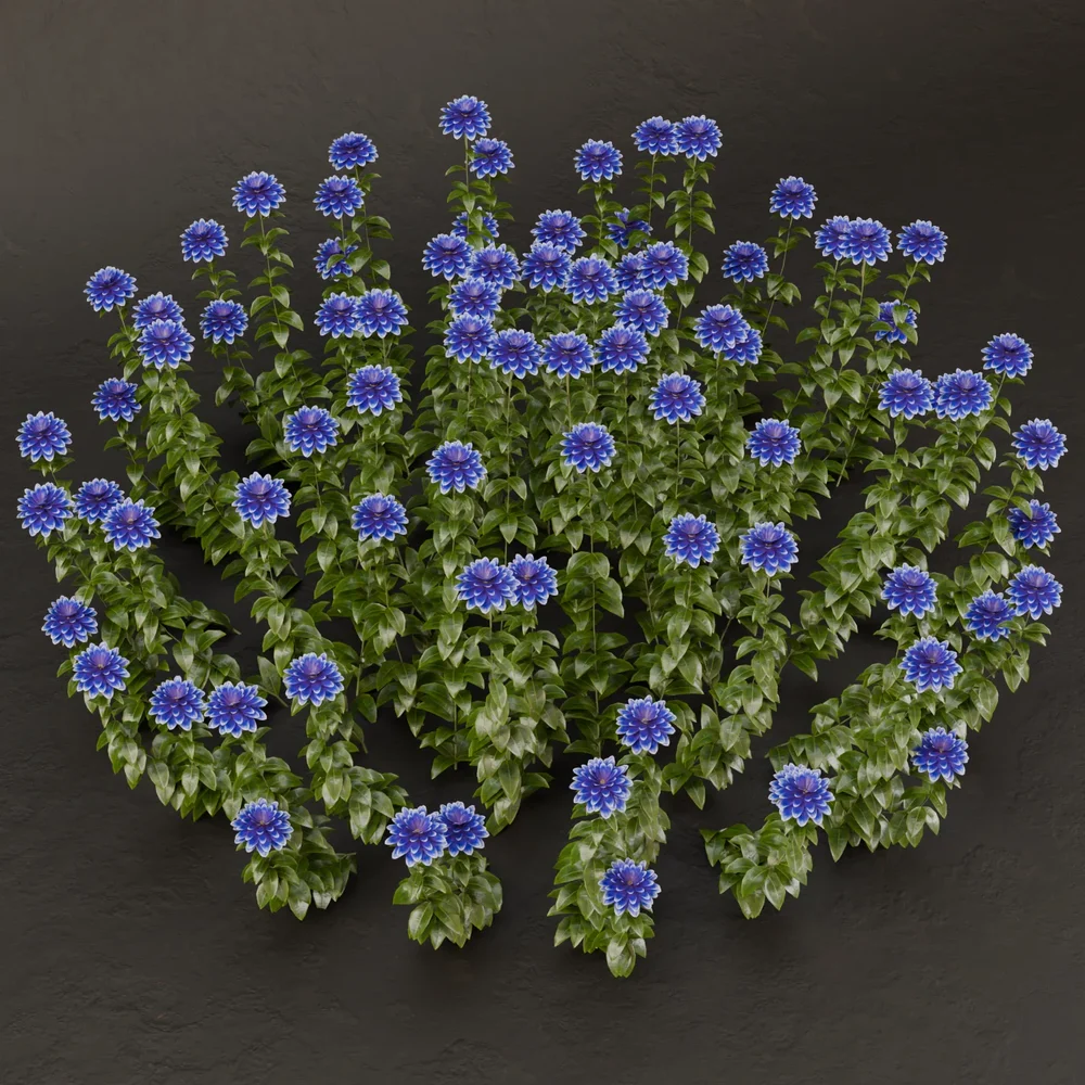 Sj-Timeless Beauty Bush
