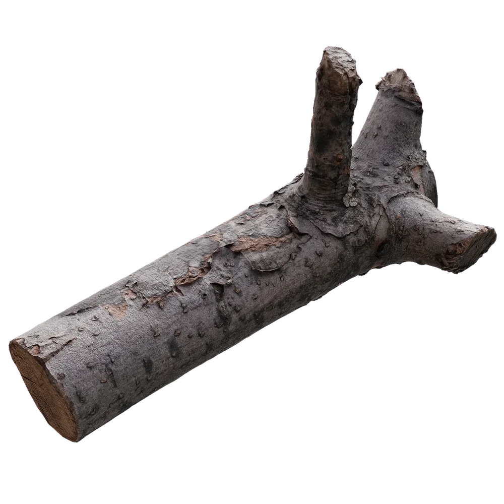 Firewood Scan