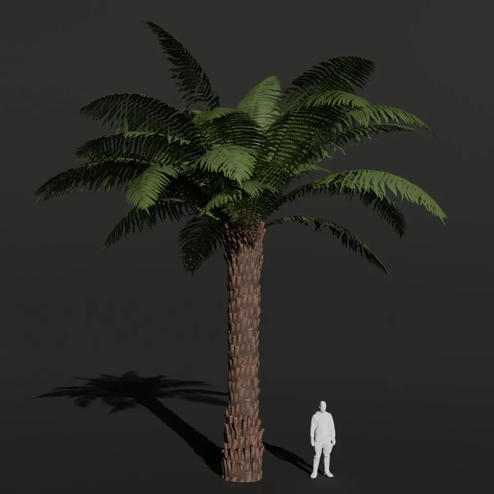 Tree Fern Large Dense