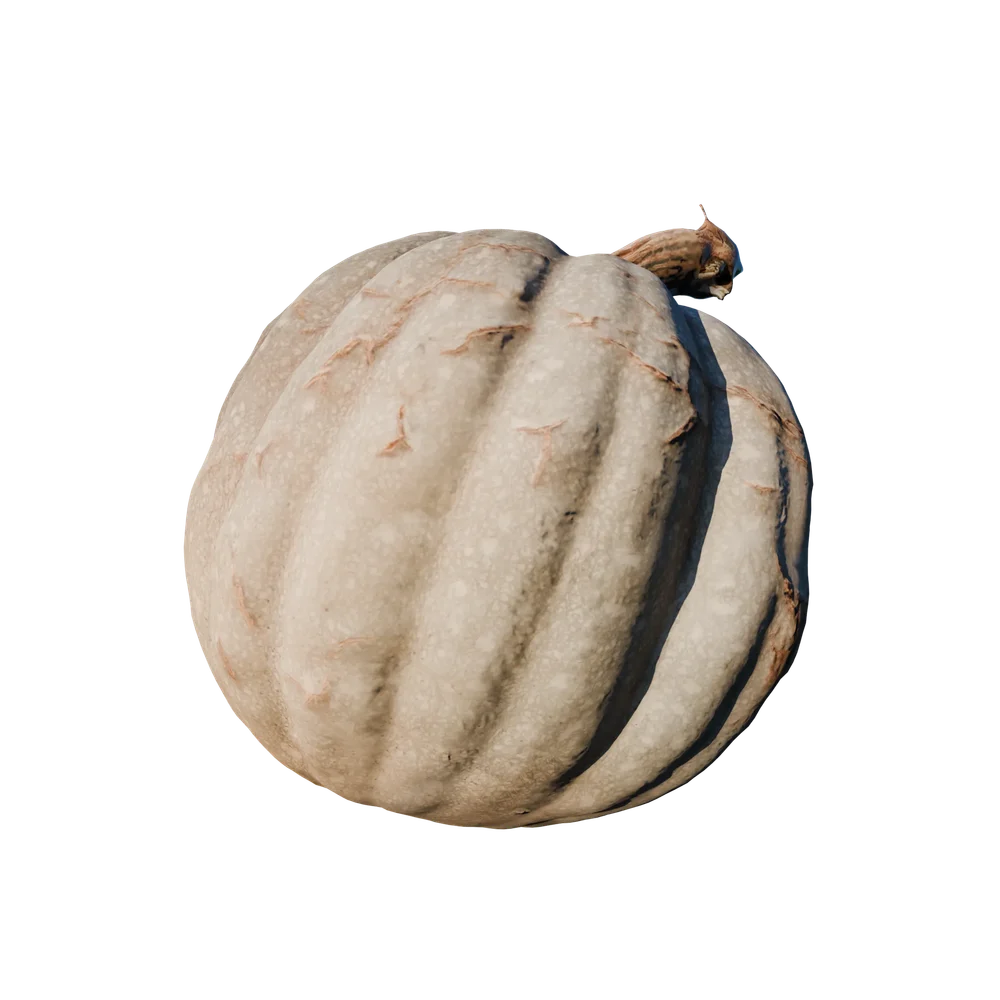 Pumpkin