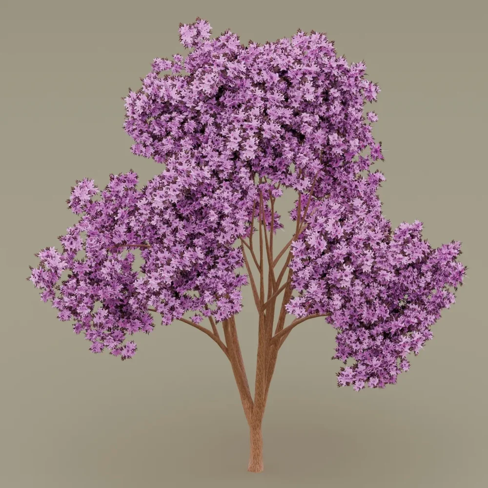 Pink Flowered-Dark Red Leaved Tree