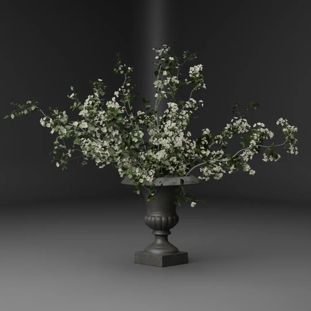 White Blossom