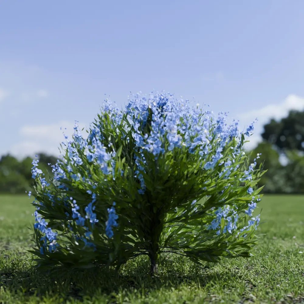 Shurb - Caryopteris Bluebeard Animated