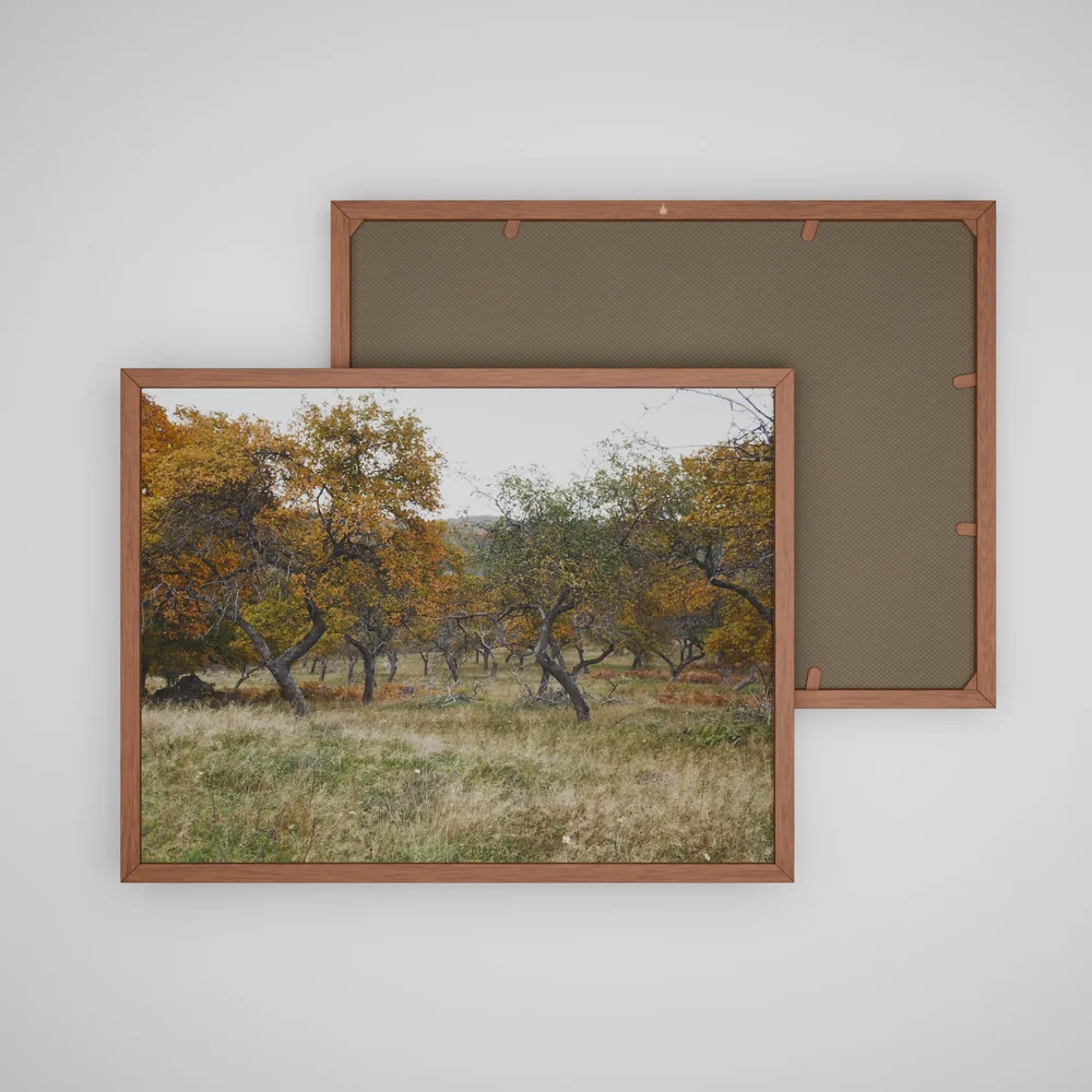 Autumn Colection Picture