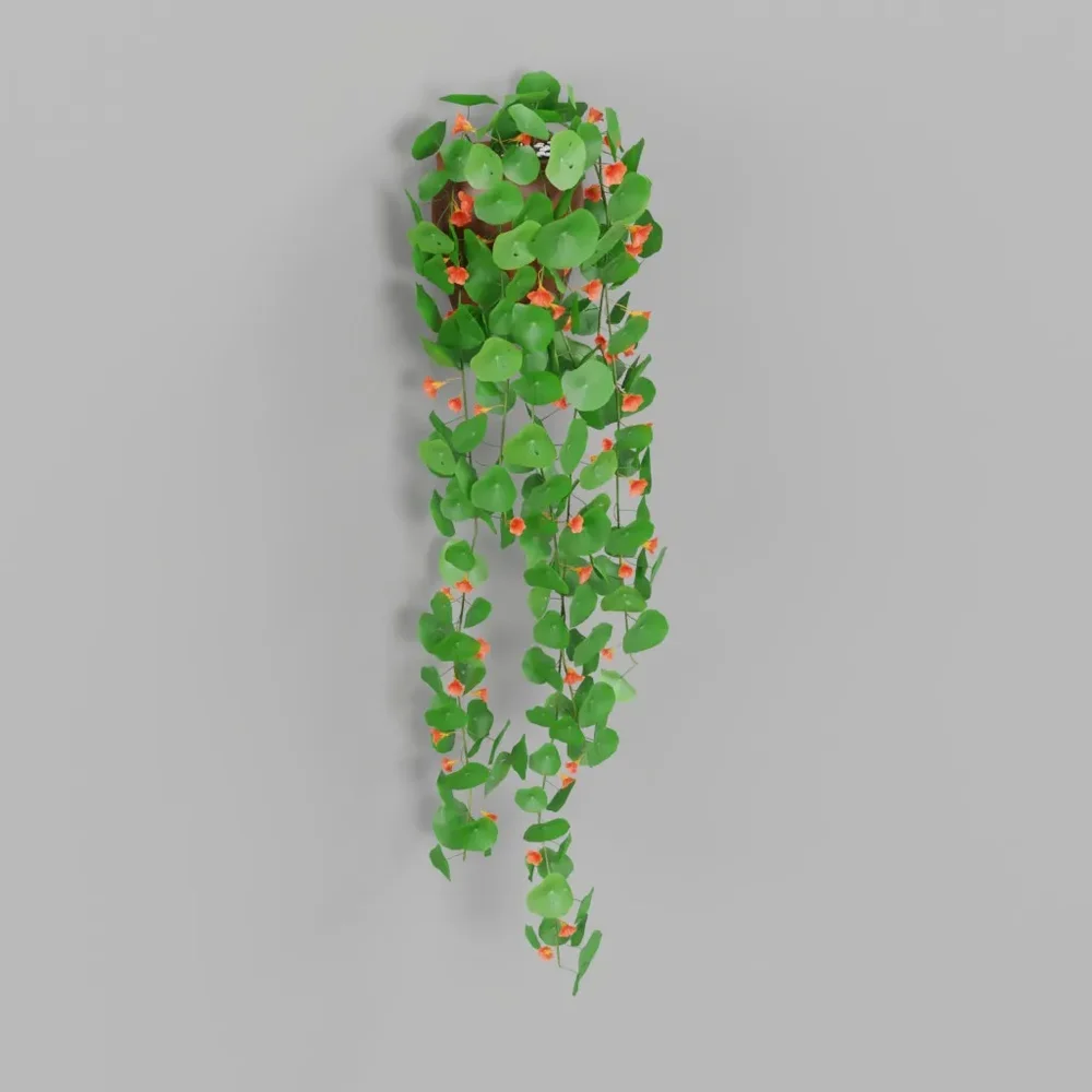 Trailing Vine With Orange Flowers