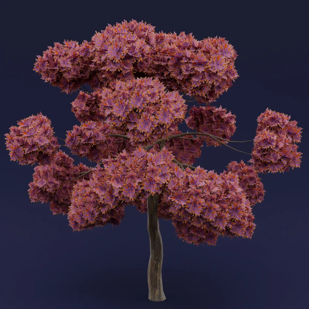 Flowered Orange Leaved Tree