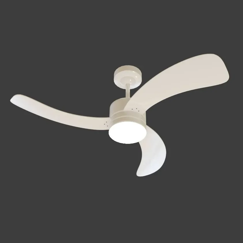 Ceiling Fan