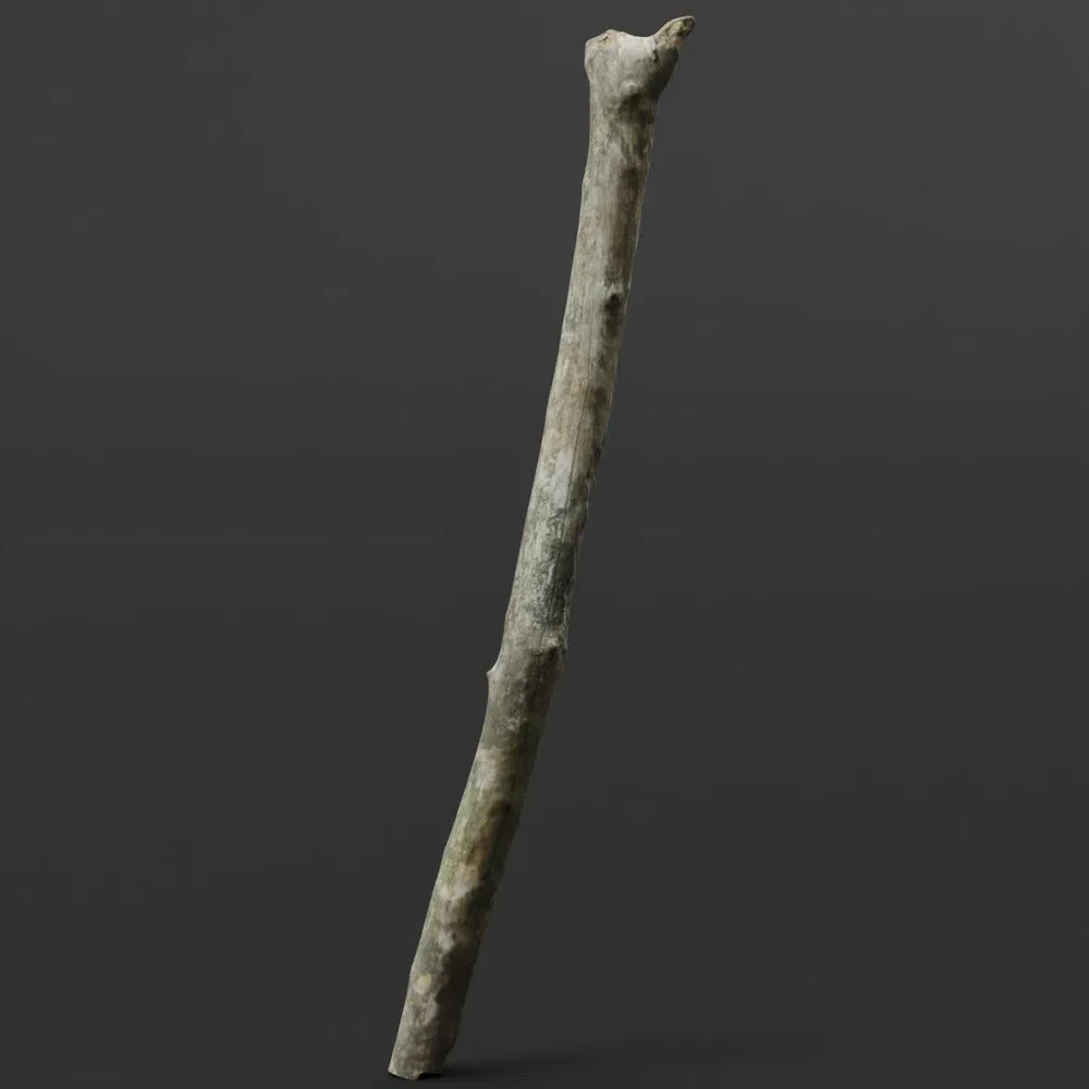 Small Photoscanned Stick 02