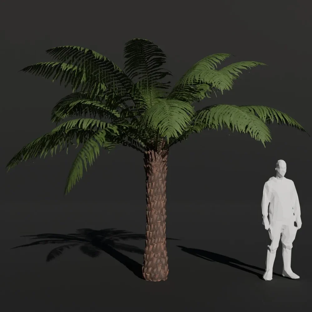 Tree Fern Medium Full