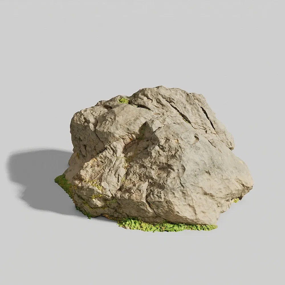 Rock Mounain Meadow Pbr Scan 02