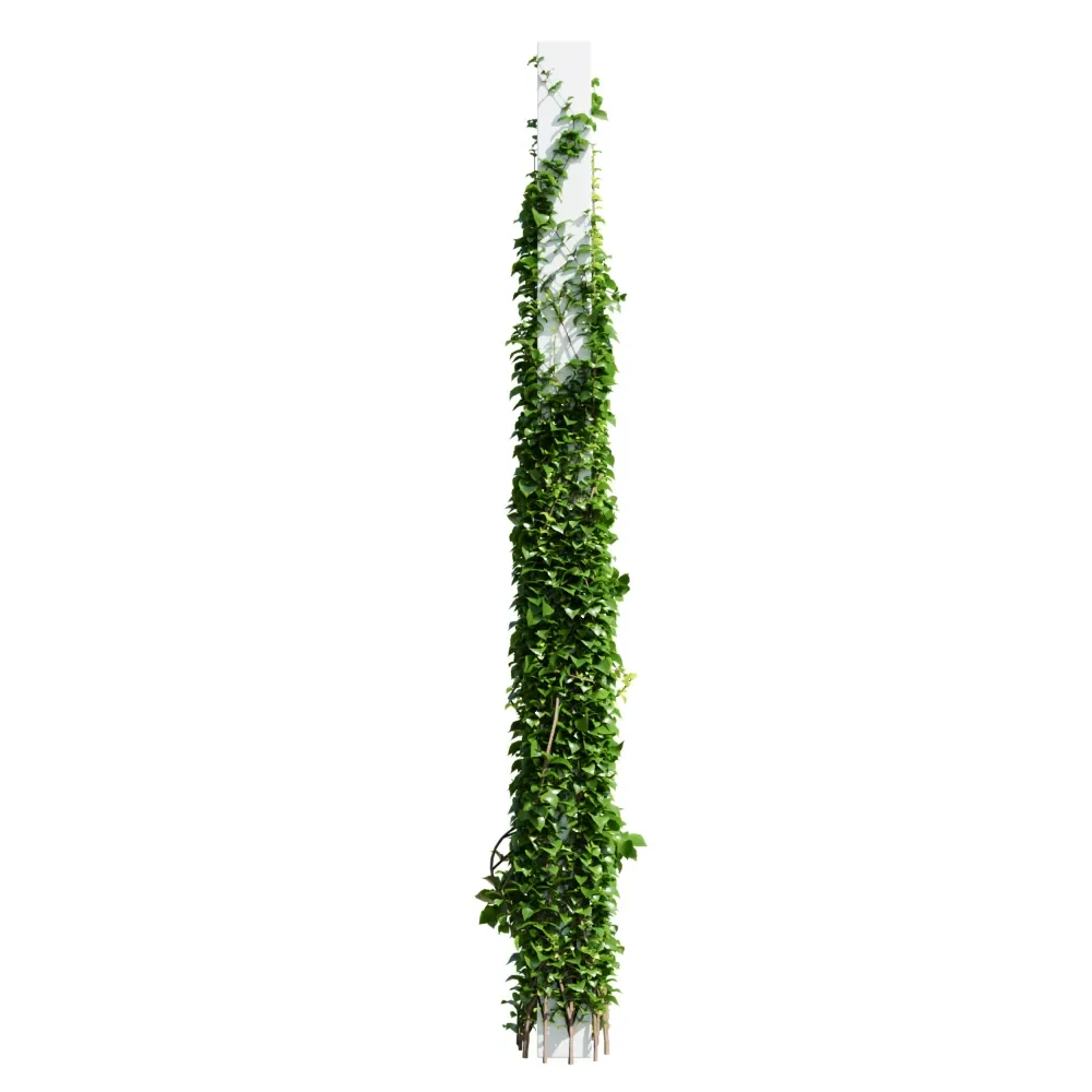 Plants Hanging On Pillars