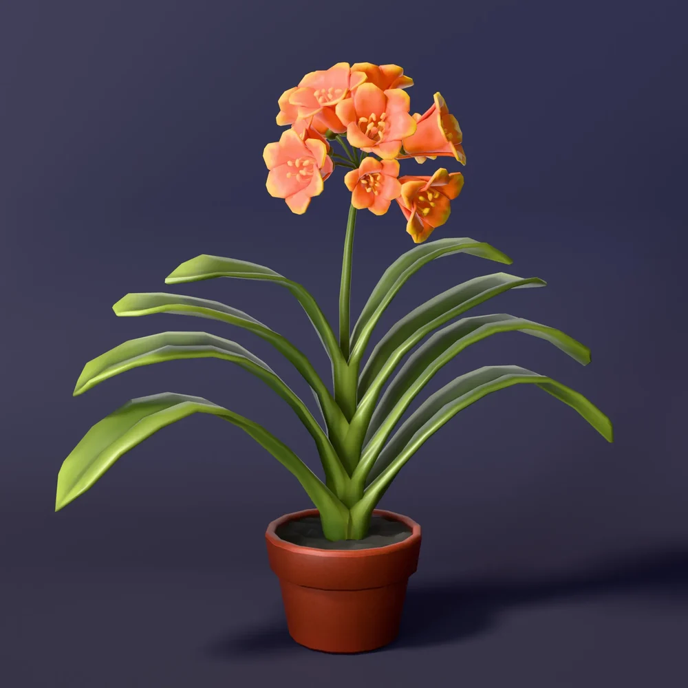 Stylized Clivia Houseplant