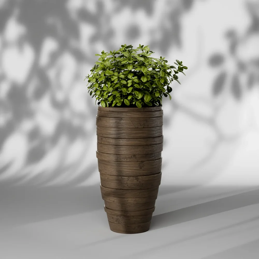 Home Decor Plant