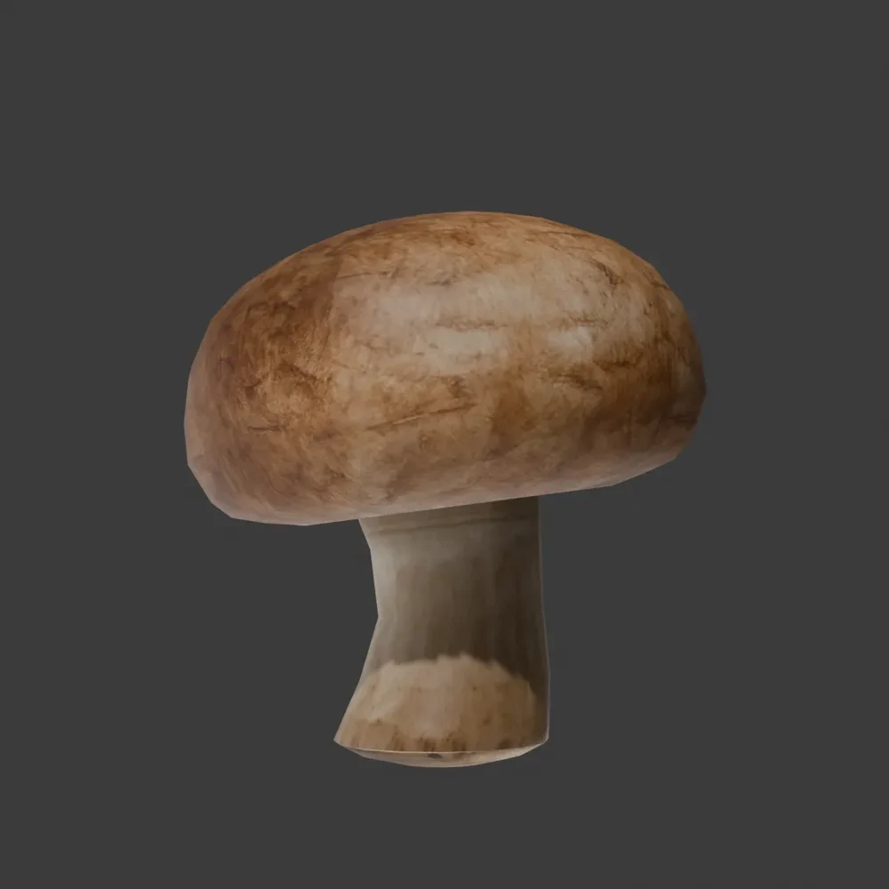 Mushroom Agaricus Stale