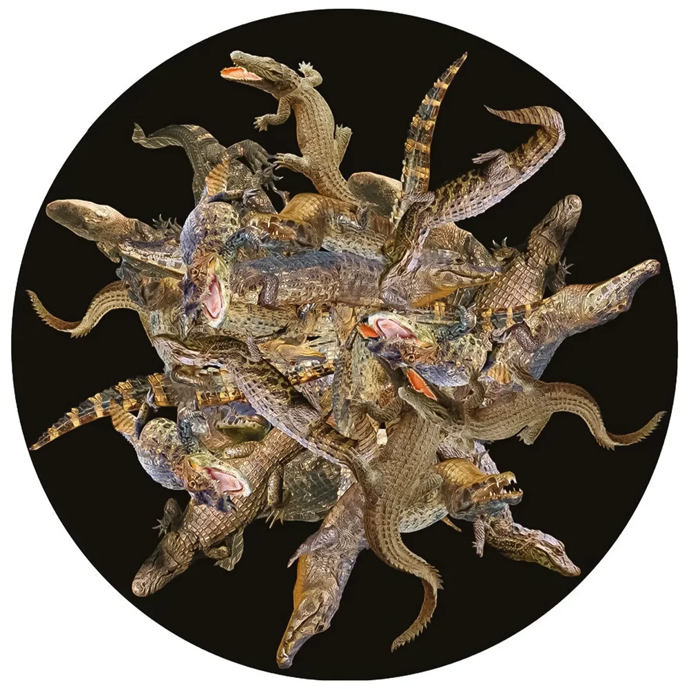 Spiky Coral Fossil Carpet