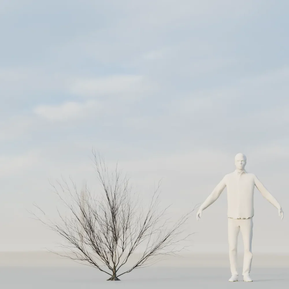 Dry Bush Low Poly