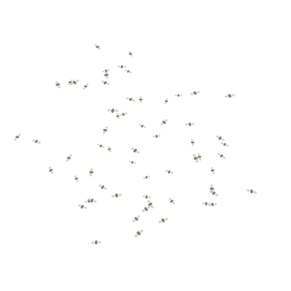 Procedural Moths (Geo Nodes)