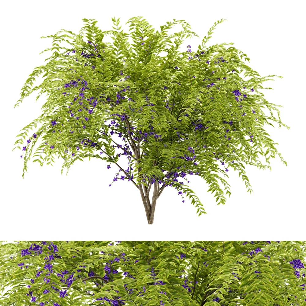 Flower Bush Plant