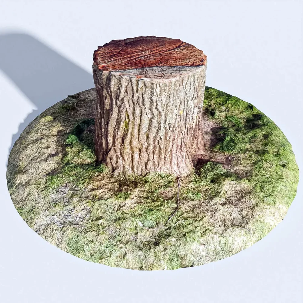 Tree Stump