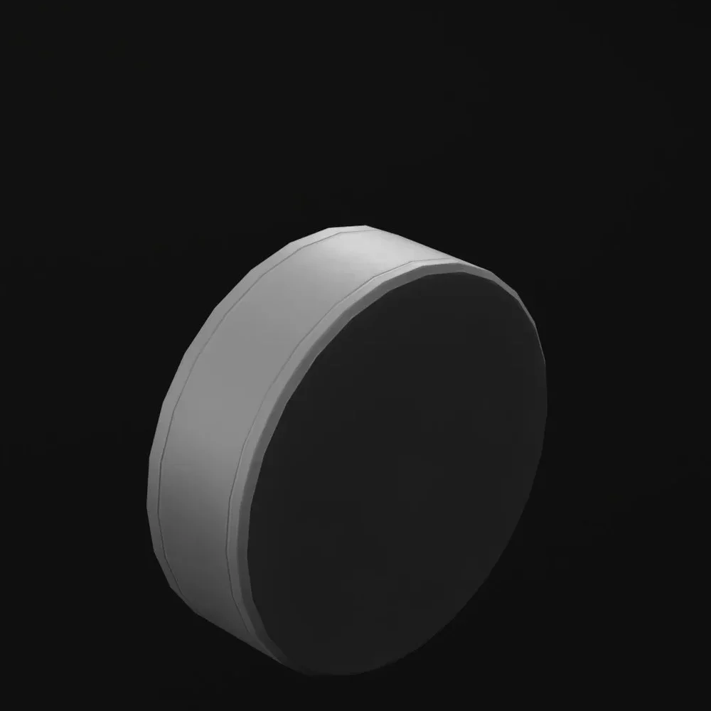Ice Hockey Puck
