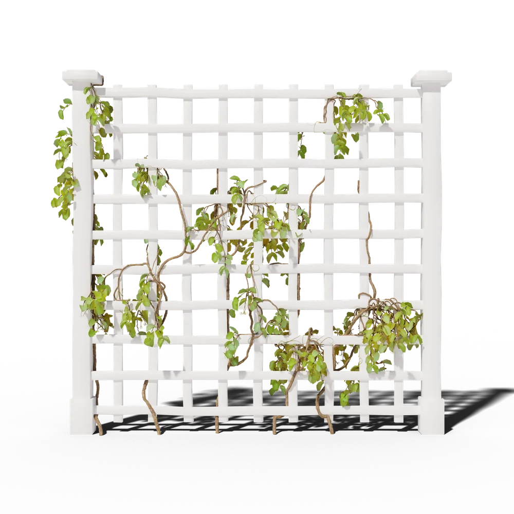 Trellis V5