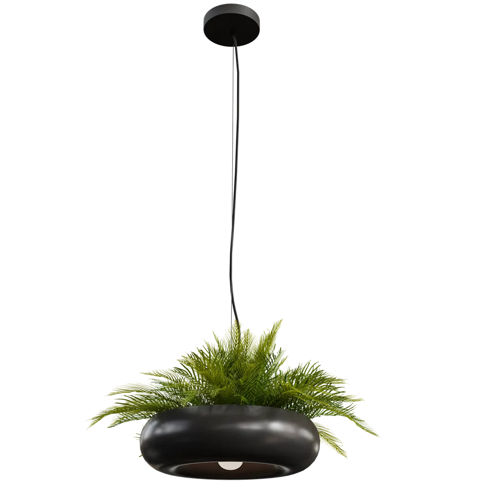 Pendant Light With Plants A