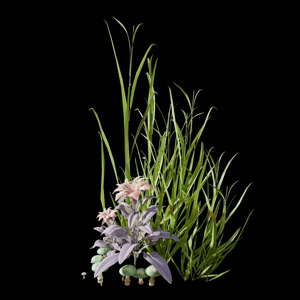 Garden And Yard Plants