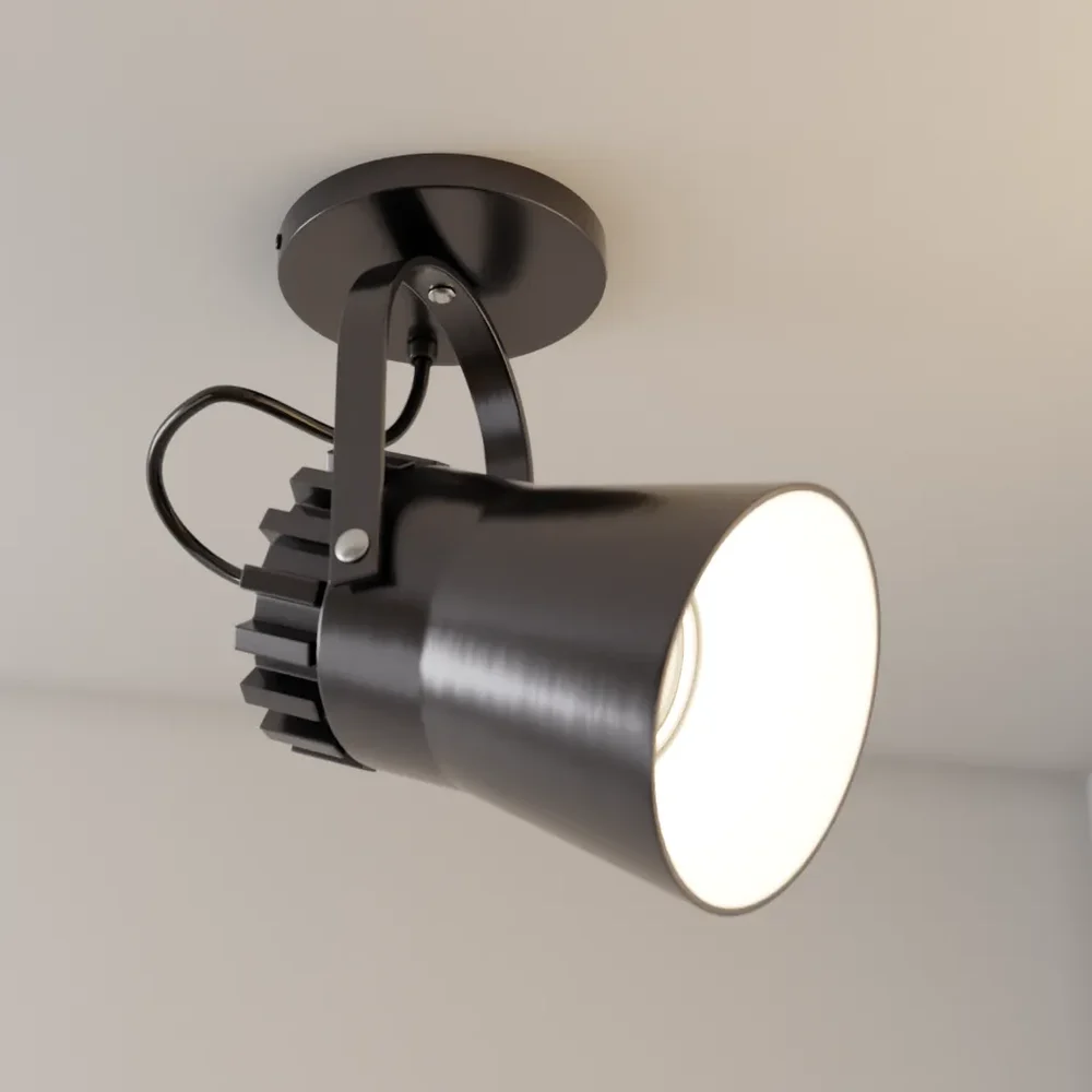 Directional Led Spot