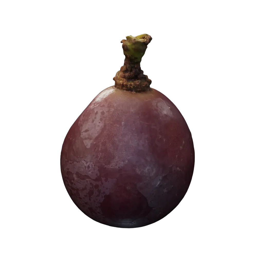 Vitis Vinifera