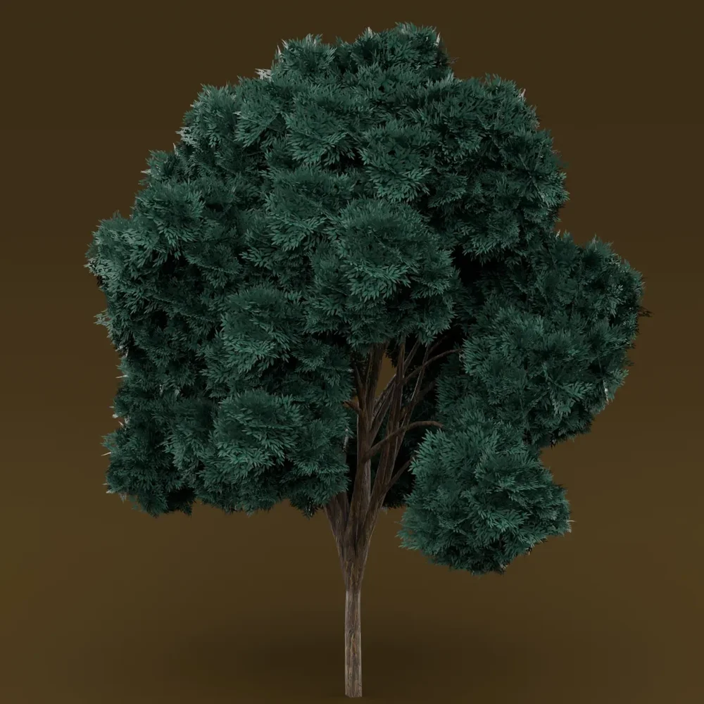 Teal Leaved Tree
