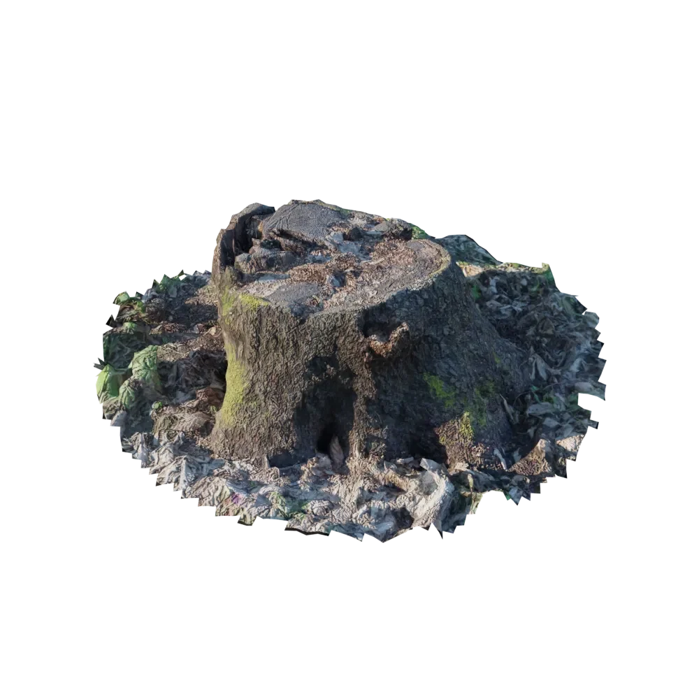 Stump 4-6