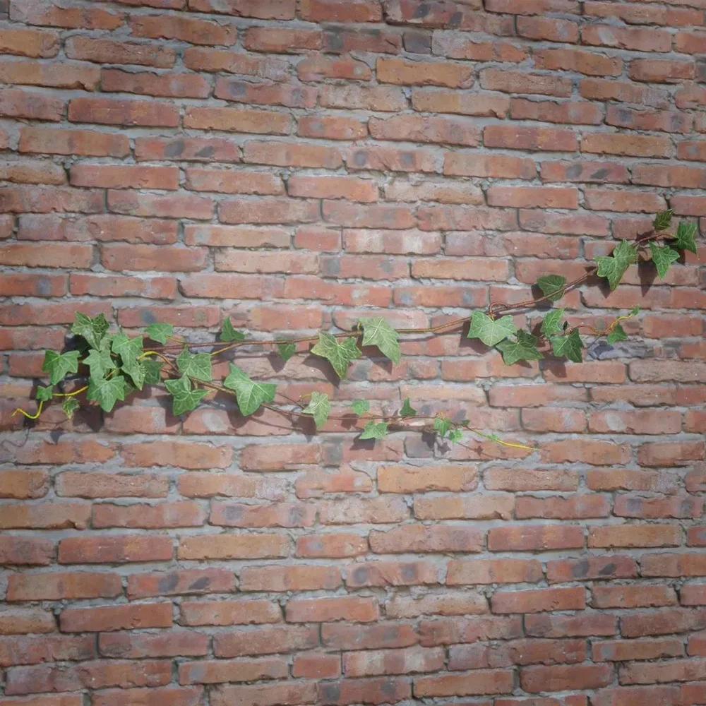 Ivy Creeper Side 1m 03