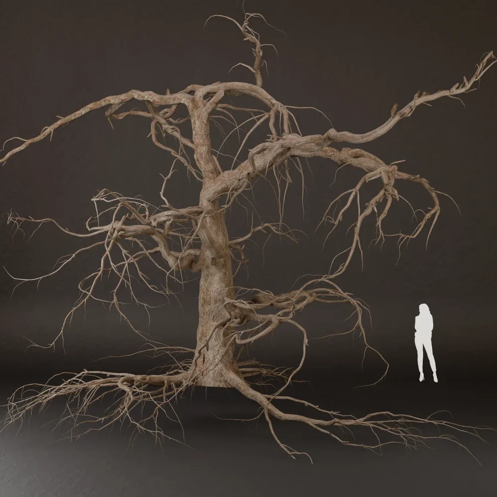 Sj-Dried Tree With Branches