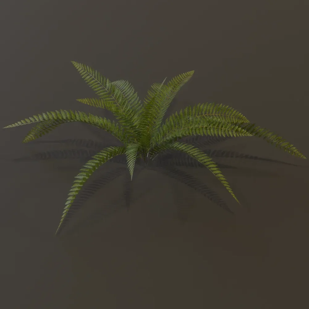 Wild Fern Small