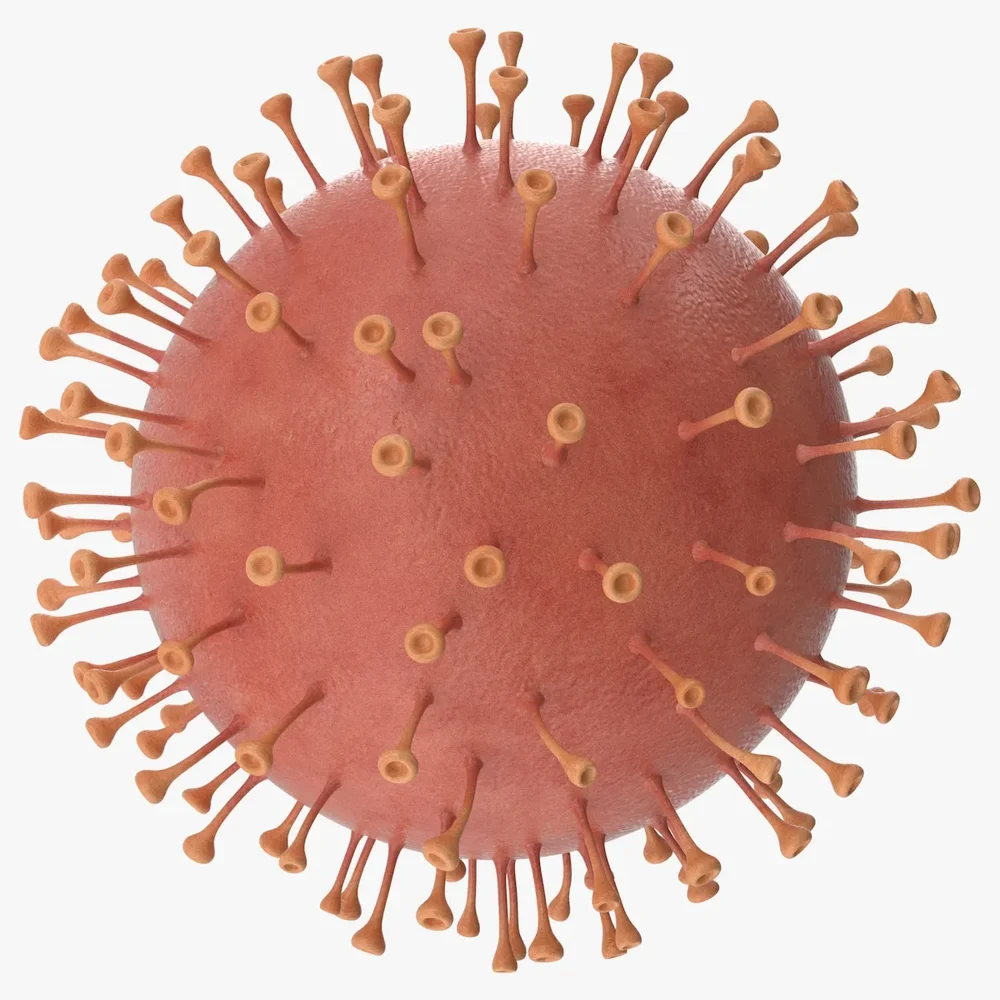 Coronavirus V1