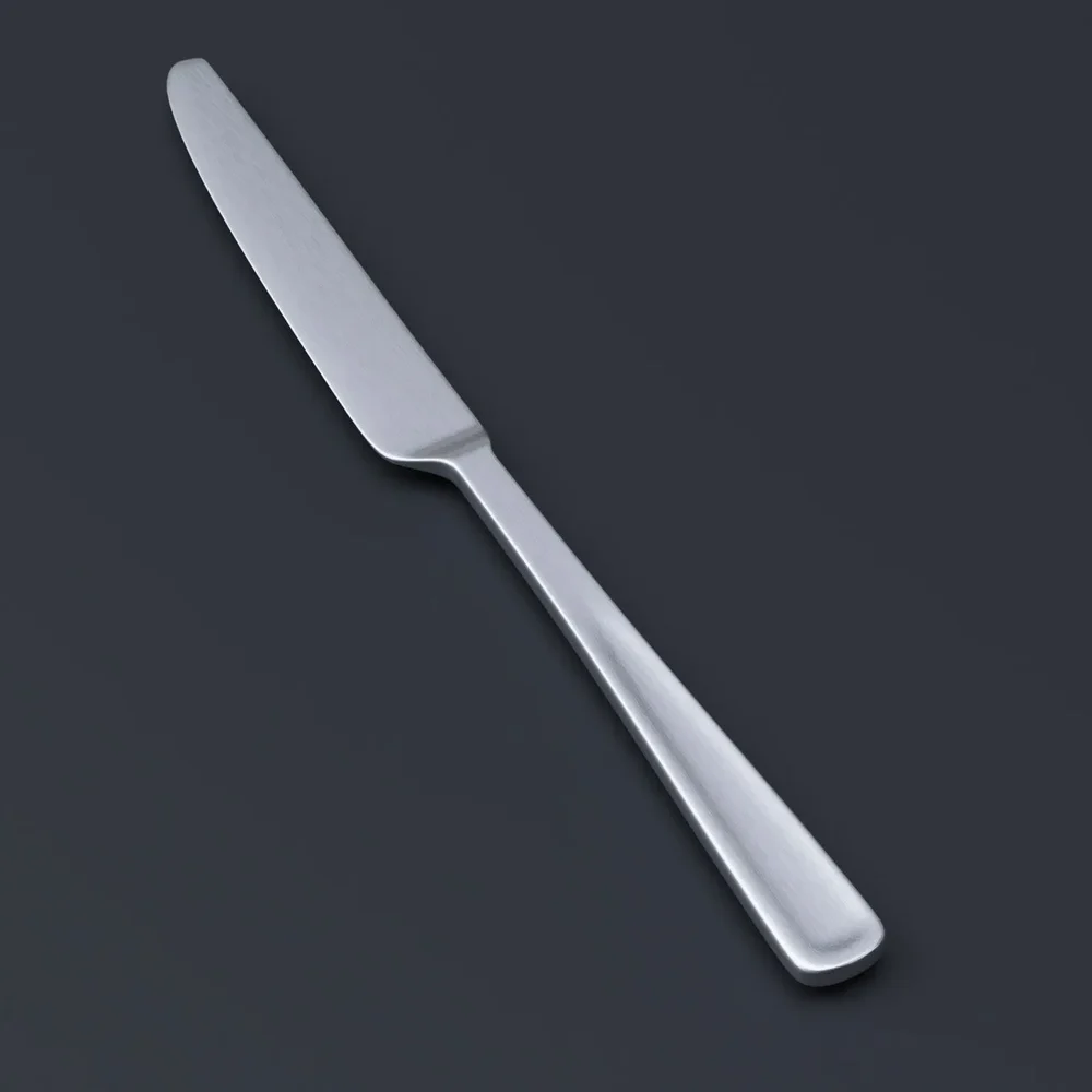 Knife With Brushed Stainless Steel