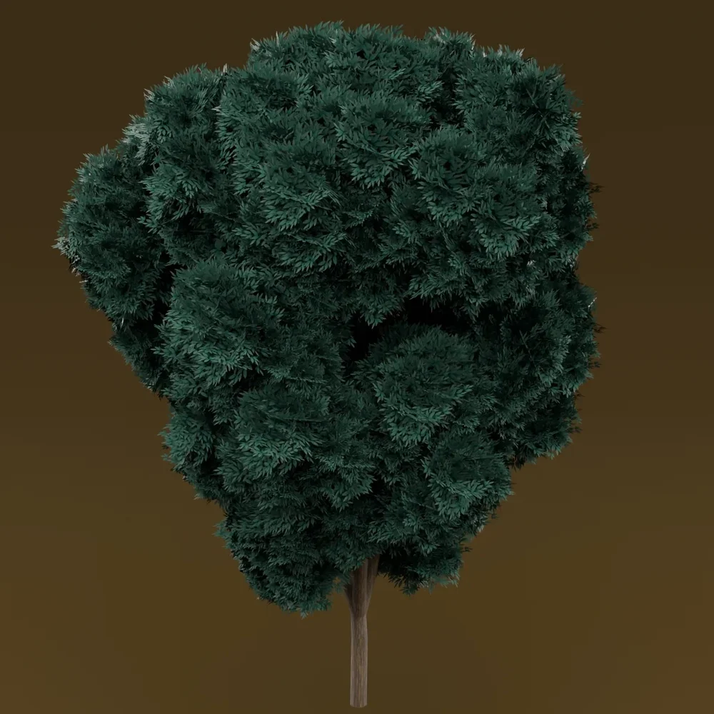 Teal Leaved Tree