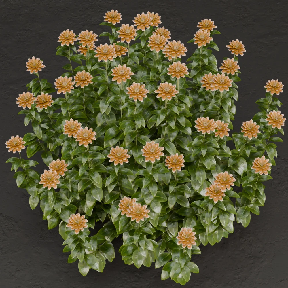 Sj-Nature-Inspired Bush