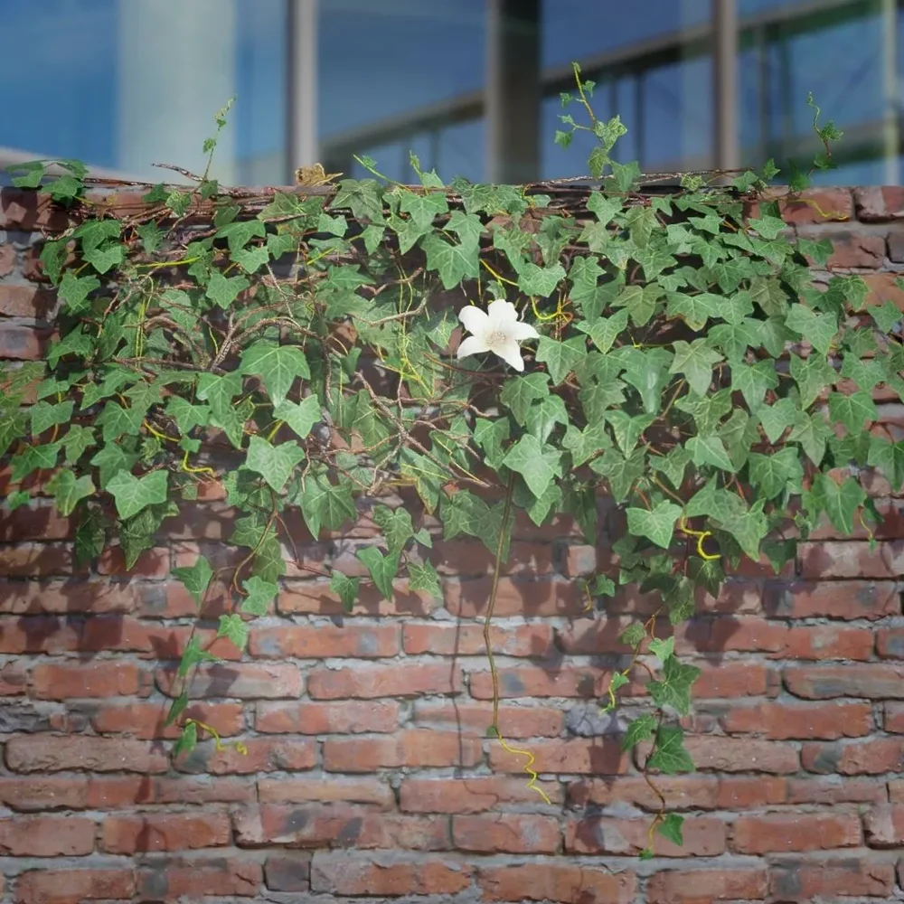 Ivy Creeper Ledge 1m 01 02