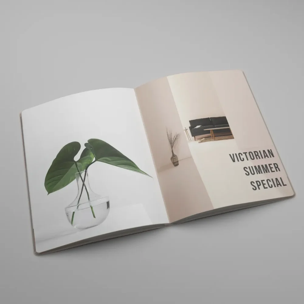 Magazine With Pages Open 2
