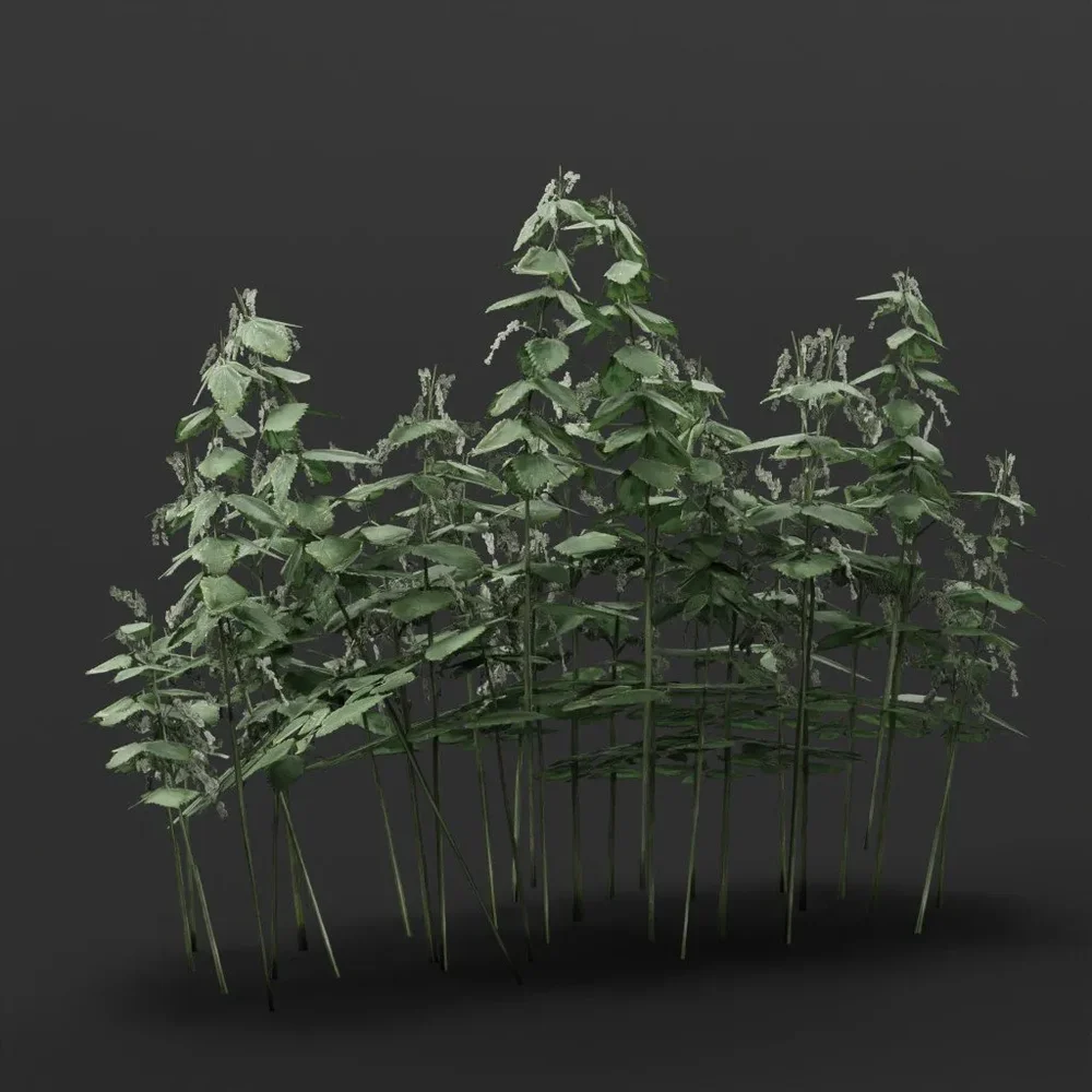 Nettle Bush Wide