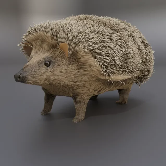 model: Hedgehog