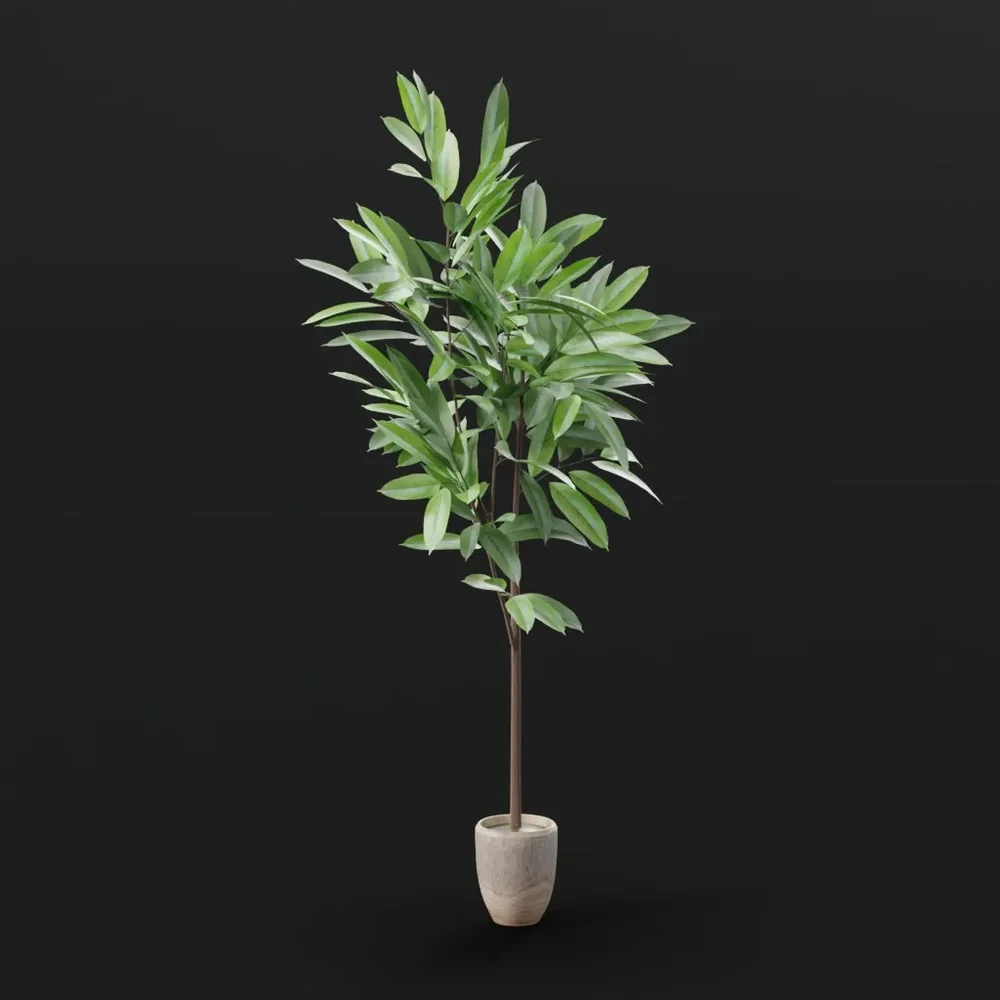 Indoor Potted Plant – Tall Green Foliage
