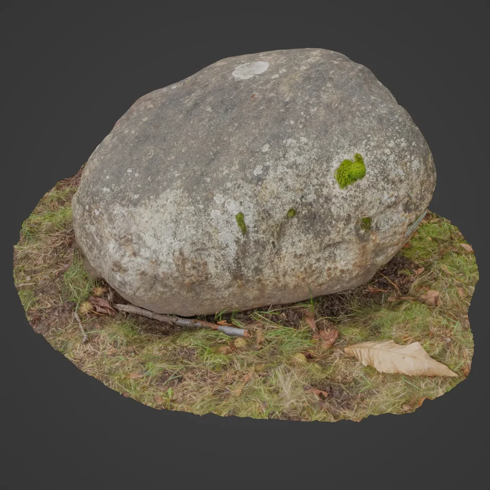 Rock In A Forest 4