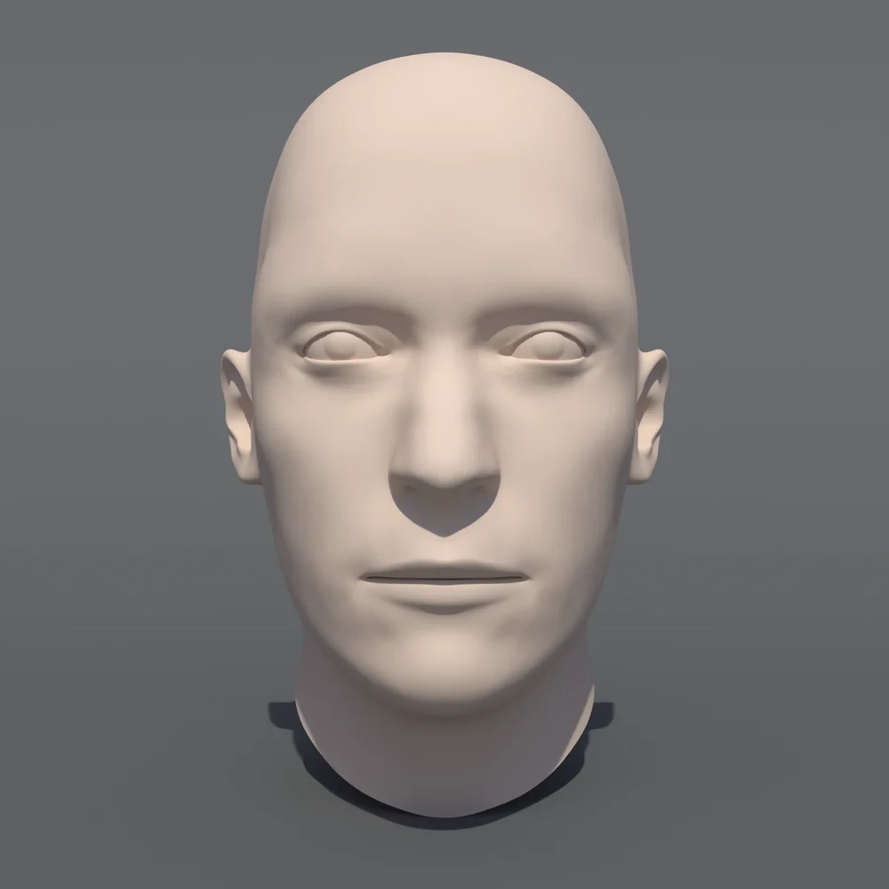 Caucasian Man Head Base Mesh