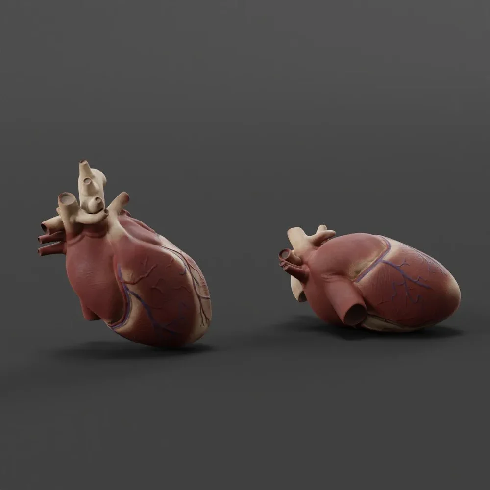 Exposed Heart
