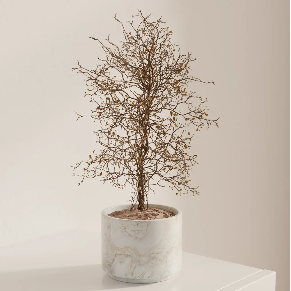 Dry Branch Tree Planter
