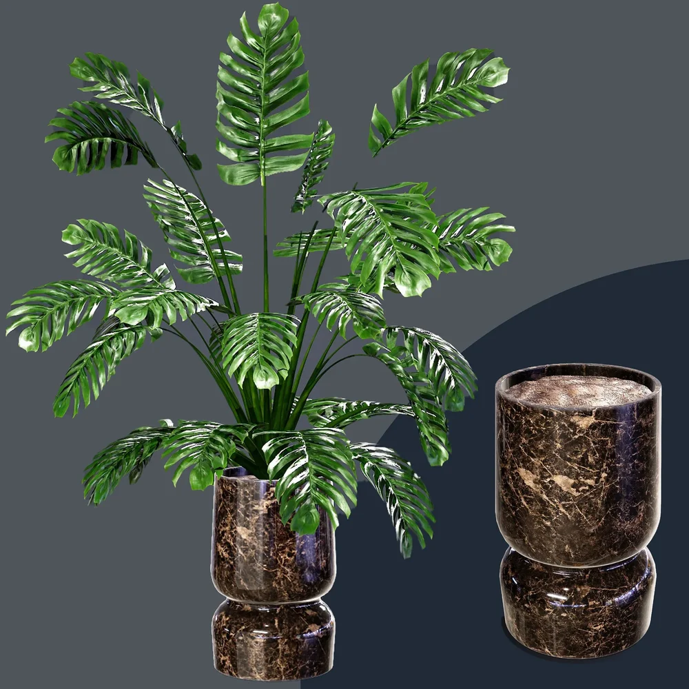 Sj-Monstera 04